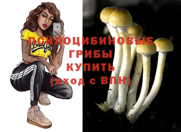 мяу мяу мука Армянск