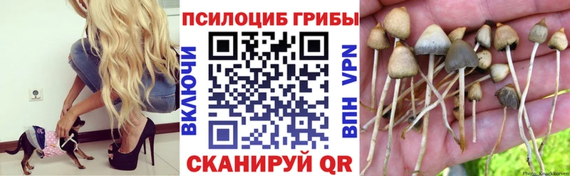 Псилоцибиновые грибы ЛСД  купить наркотики цена  Беслан 