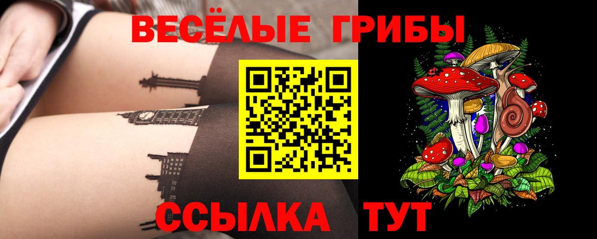 Псилоцибиновые грибы MAGIC MUSHROOMS  Вход с VPN  Беслан 